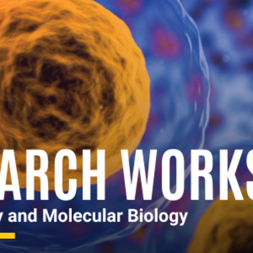 BMB Research Workshop promotional image